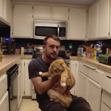 Deep Thoughts of Dirty Bastard: DO NOT THE CAT 2 #shorts