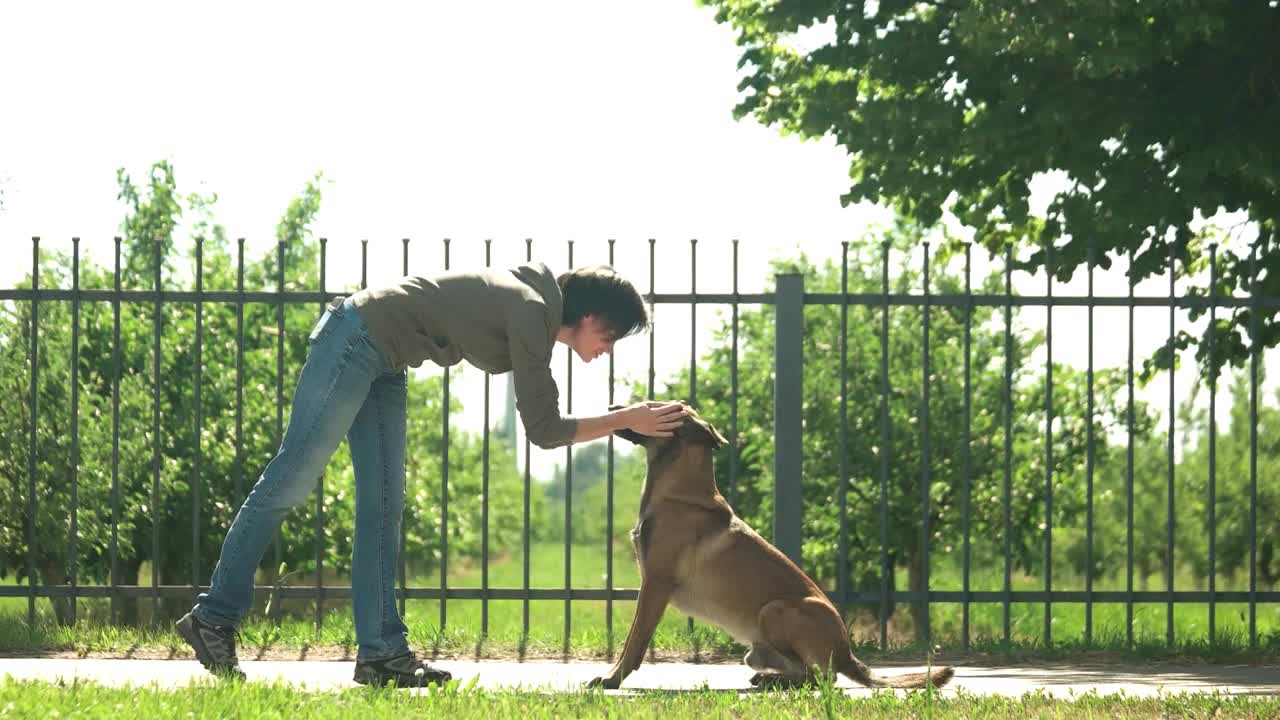 Dog is executing commands for reward