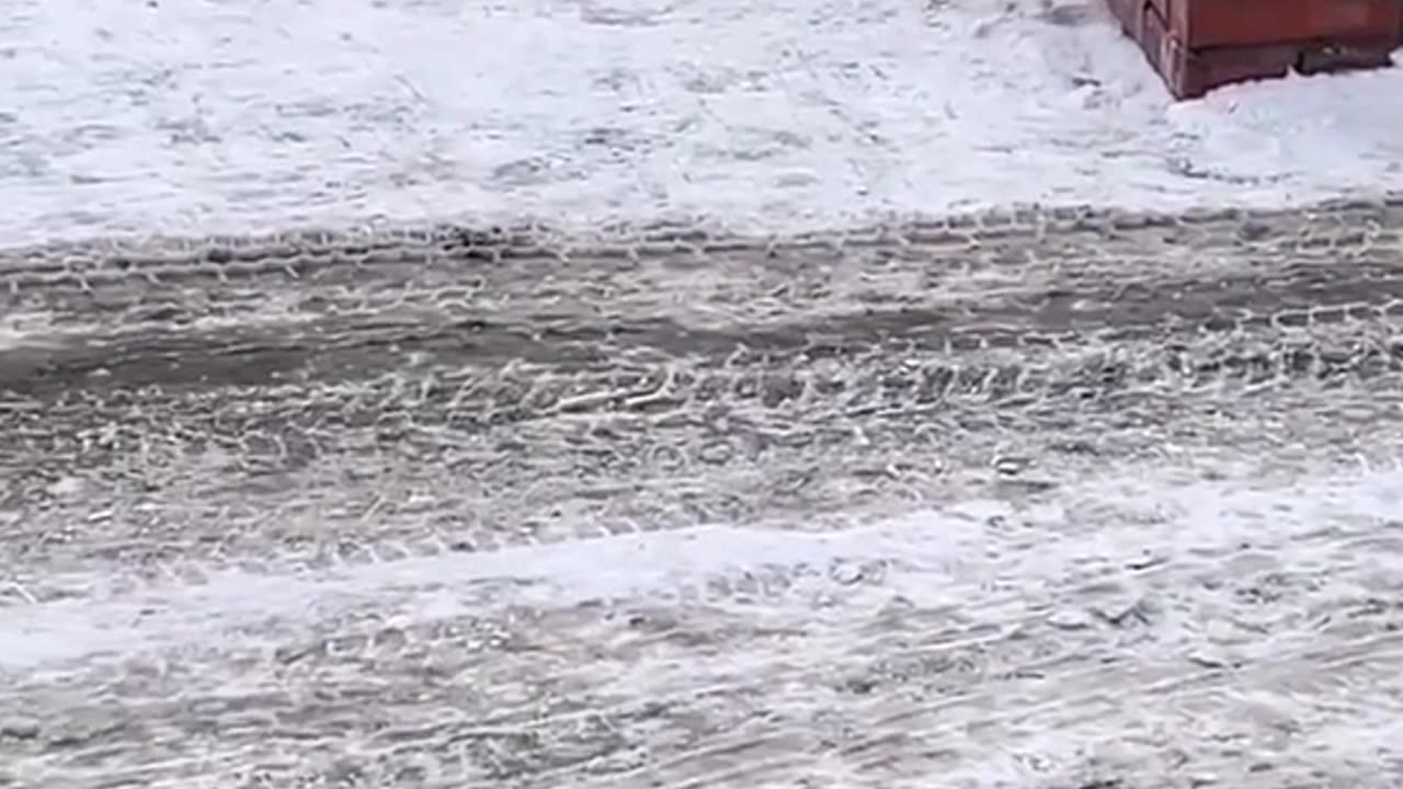 Funny cat and ret video wet and