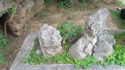 There are flowers and mountains in this bonsai