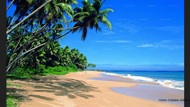 ГОСПОДЬ ПРОТИВ ПЛЯЖА И КУПАЛЬНИКОВ