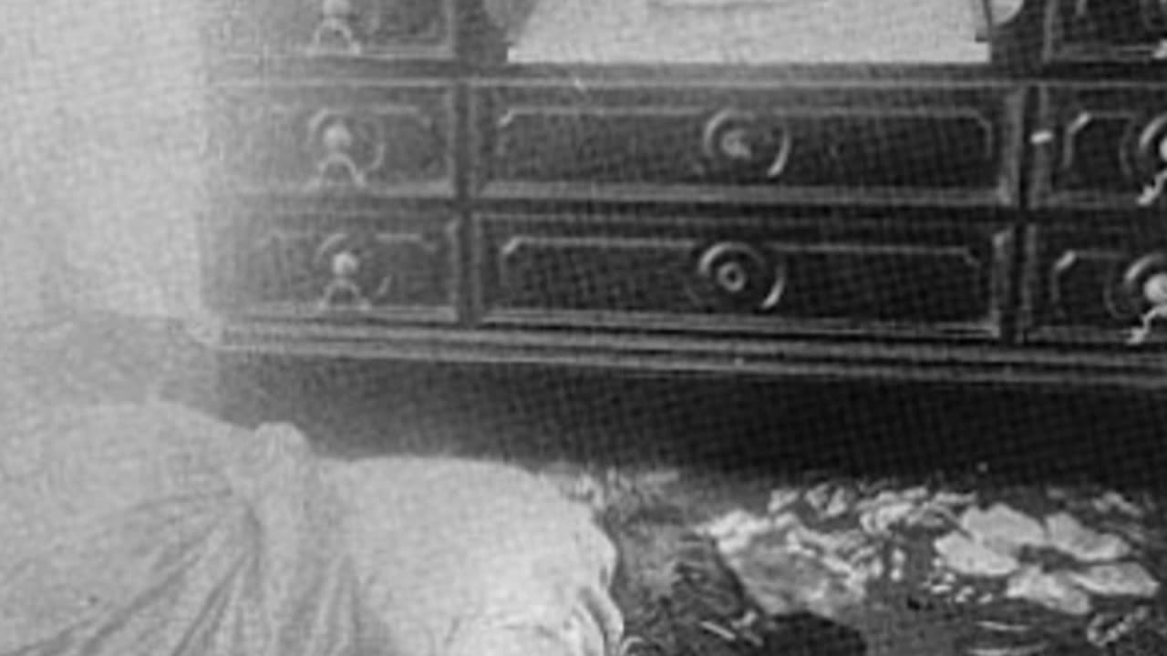 The Infamous Lizzie Borden Axe Murders: Fact or Fiction? #truecrime