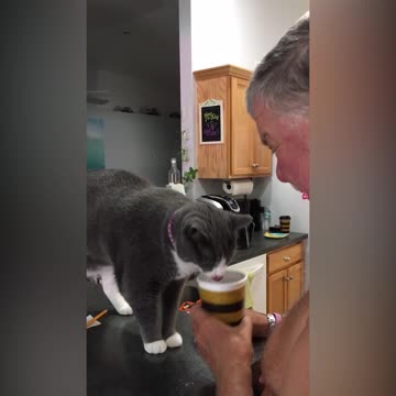 Demanding Cat Takes Older Man's Coffee