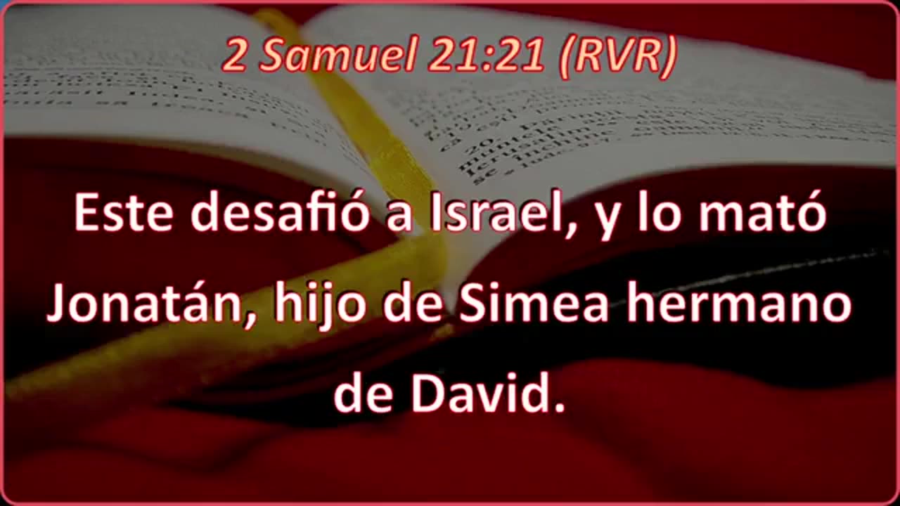 Servicio