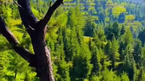 Beautiful shawal valley