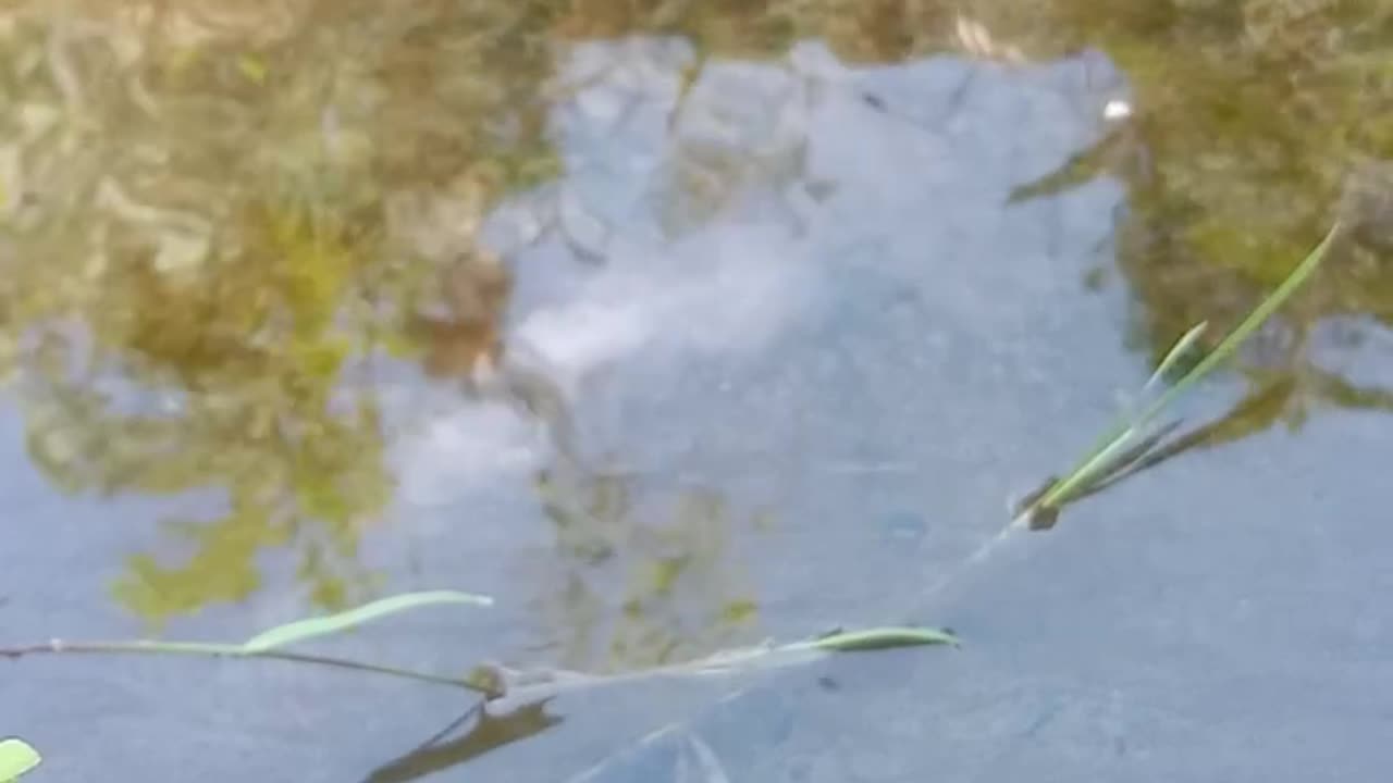 Relaxing Sound at River