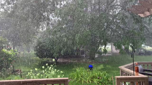 Rain Shower at Dublin Flower Farm