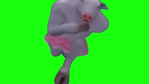 Cow Running To Dream On | Green Screen