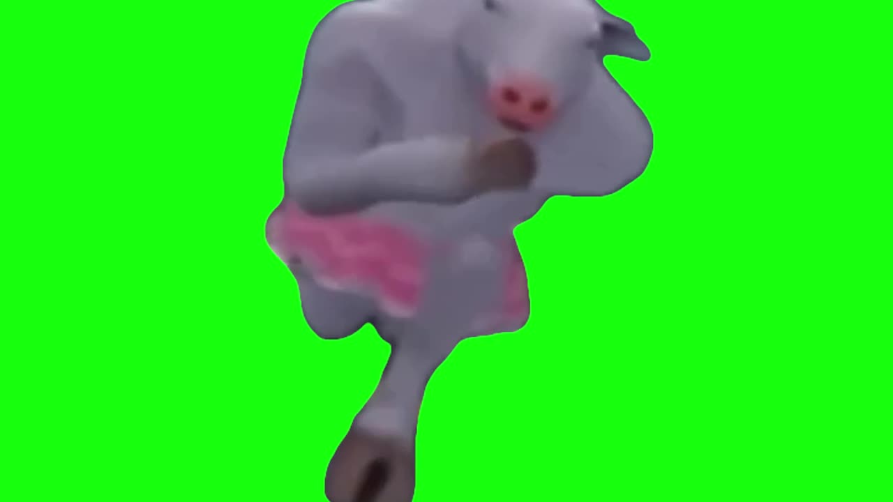 Cow Running To Dream On | Green Screen