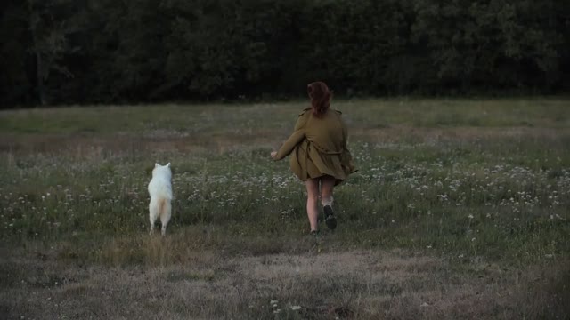 A dog and a girl are running a race on the garden