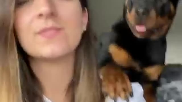 Rottweiler takes kisses very seriously