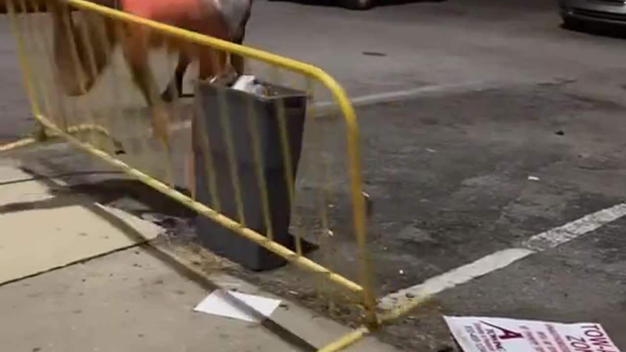 drunk dude gets tangled up jumping a guard rail