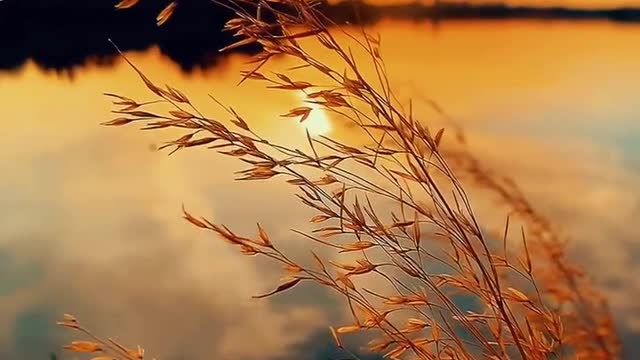 The setting sun is beautiful
