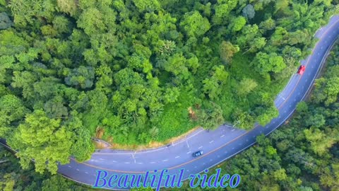 Nature video and nice music