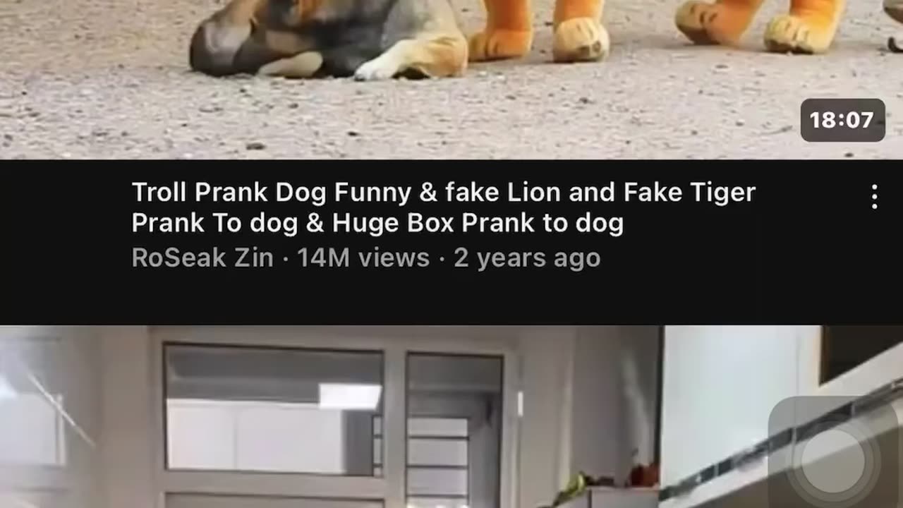 Funny videos #funny #clips