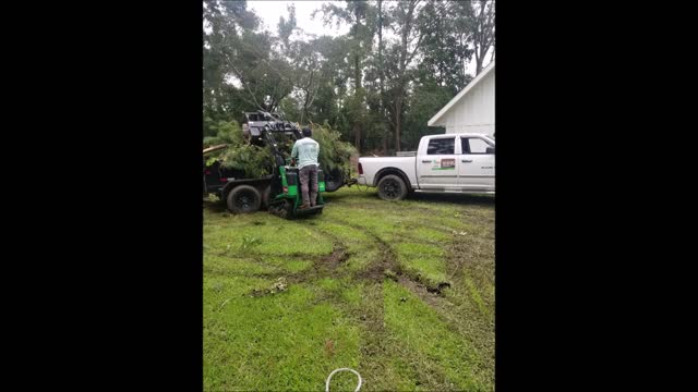 Badillo Tree Services - (910) 360-6043