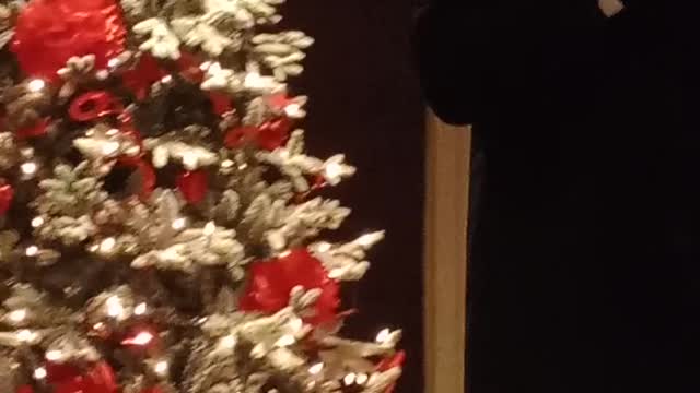 JOSEPH SEVERINO SPEECH @DOCKERS ILLINOIS RUNNING FOR 10TH DISTRICT