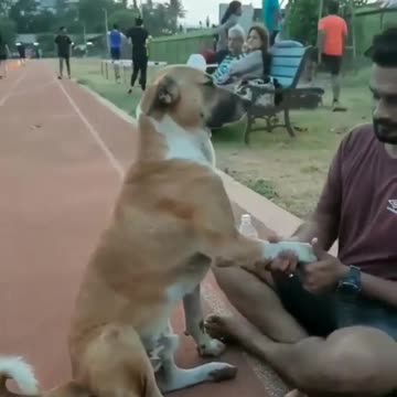 ❤️“You may have many best friends,but your dog only has one"❤️