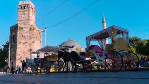 Horse 🐎 cart