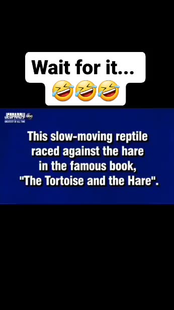 Wait for it... 😂😂😂