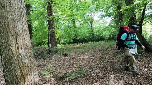 Walking towards the camera shot . GoPro .woodland hiking