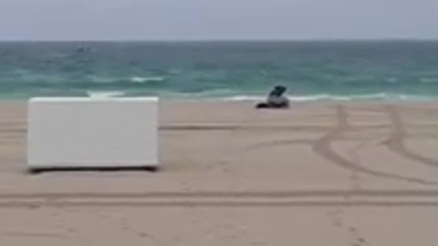 Brave Woman Gets Arrested for Walking on a Closed Miami Beach