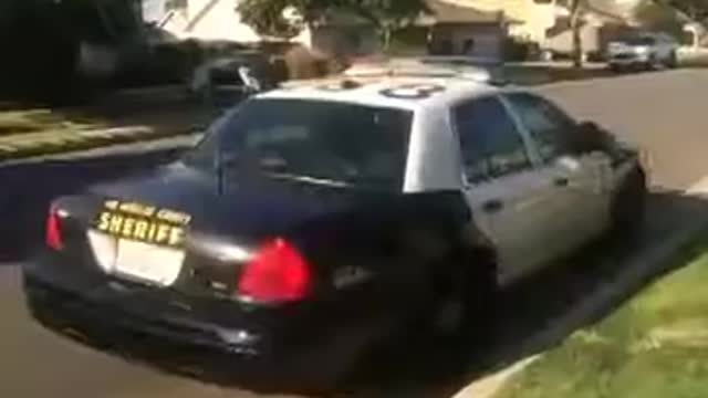 ué pasa, puppy Whats up, puppy By Brandon Calvillo Best Vine 2014