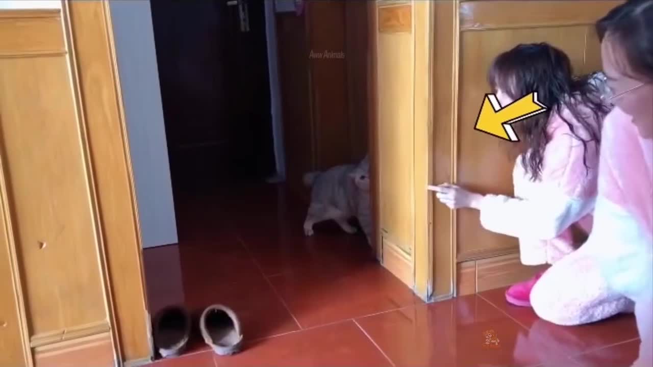 Bet not to laugh