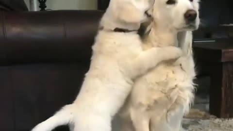 Mom, play with me, will you