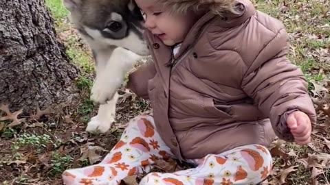 Baby and animal