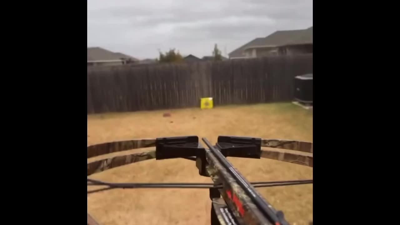 Epic Crossbow Accuracy shooting at IPhone