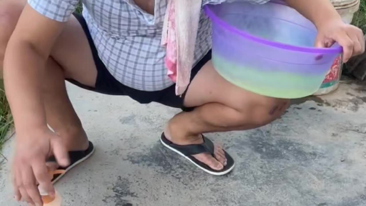 Funny videos