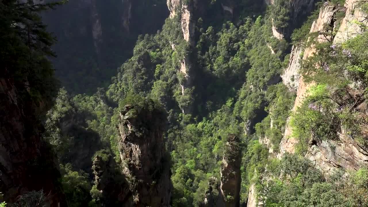 "Avatar" Mountain & Wulingyuan Scenic Area