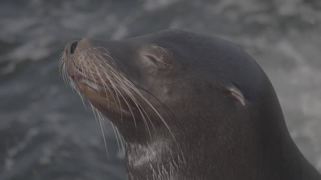 Nature and Wildlife 25
