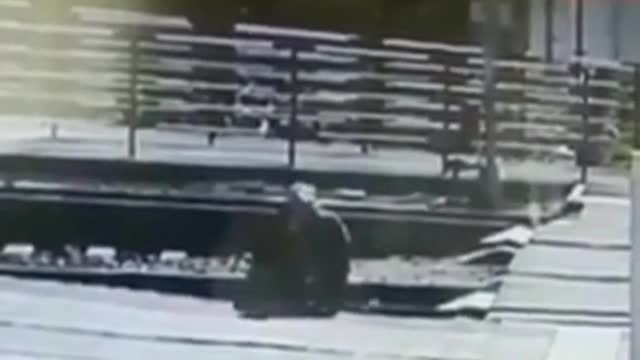 Man gets run over by train