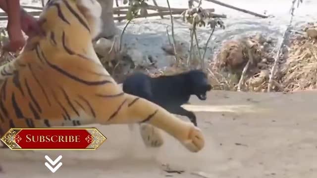 funny dog and a stuffed tiger
