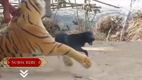 funny dog and a stuffed tiger