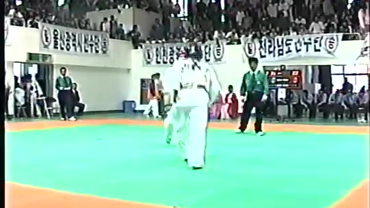 Taekwondo