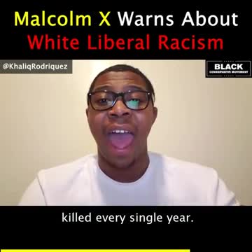 The Democrats and white liberals are the real racists_ They have lied to Black's