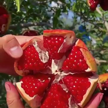 The best way to cut a pomegranate, isn't it the tastiest pomegranate you've ever seen?