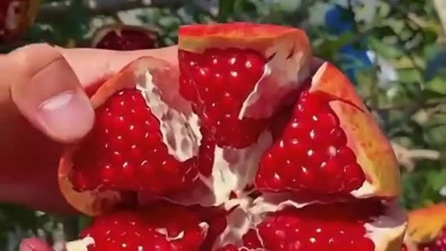 The best way to cut a pomegranate, isn't it the tastiest pomegranate you've ever seen?