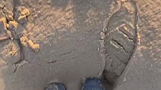 Sinking Into Soft Sand After Heavy Rainfall