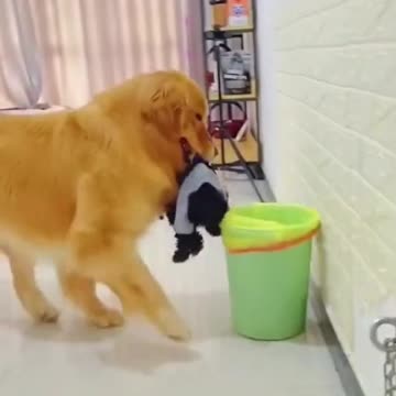 Any guess what is going on !