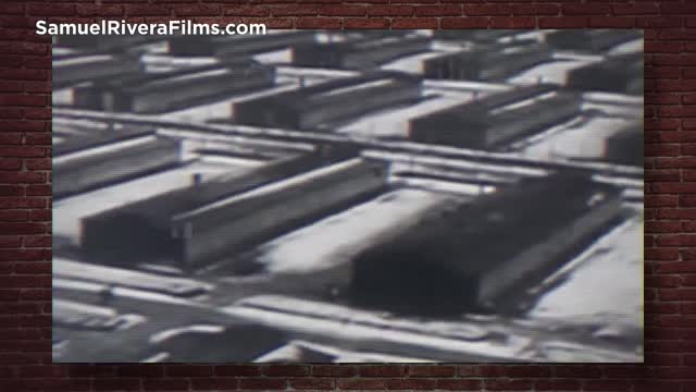 Joe Rogan was RIGHT! Crowder Defends The COVID LOCKDOWN Analogy