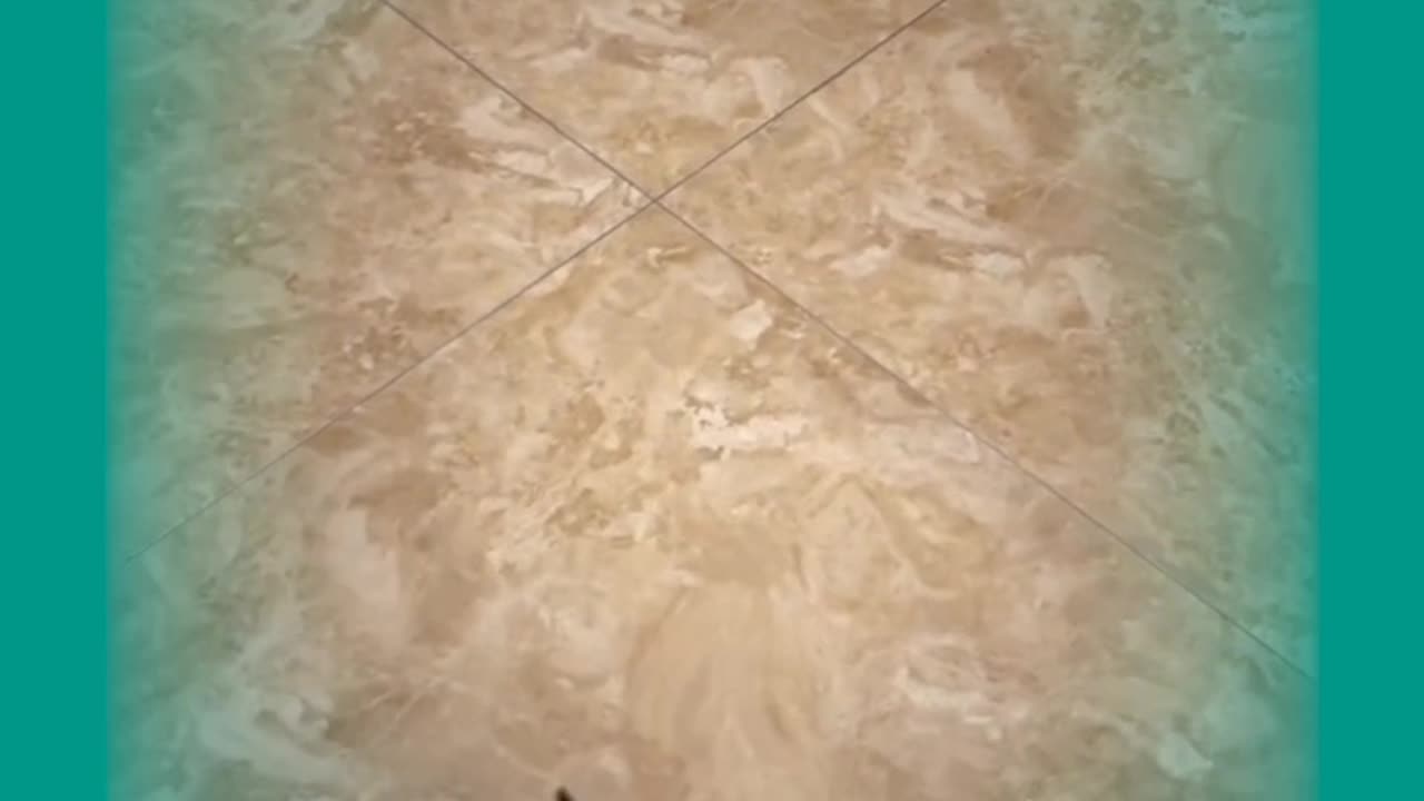 Meeaaaaooon Meeeaaoon