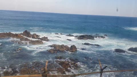 ocean view in train