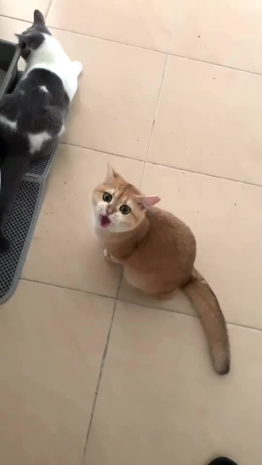 Just another morning with hungry Oliv