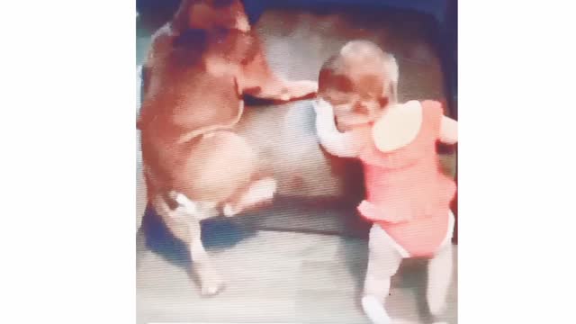 Funny Puppy and little Girl