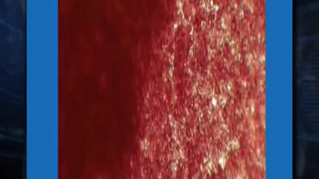 The Pfizer Vaccine - What Happens Inside Your Bloodstream?
