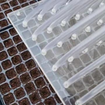 Seed planter system.